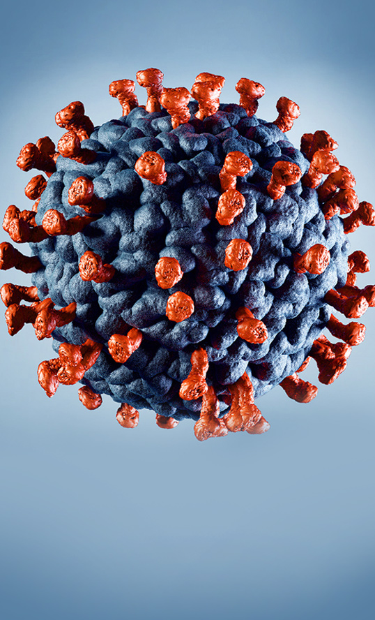 EWP - główny system IT do walki z epidemią koronawirusa w Polsce